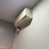 Thumb img 2359