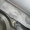 Thumb img 4911