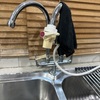 Thumb img 4920