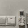 Thumb img 20260211 144049