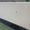 Thumb image