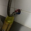 Thumb img 5296
