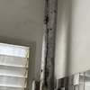 Thumb img 0260