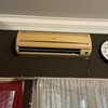 Thumb img 6321