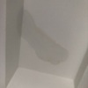Thumb img 9336