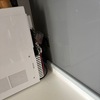 Thumb ef506644 8f56 438a b373 876803f98463