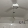 Thumb img 2459