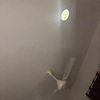 Thumb img 2458