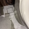 Thumb img 6965