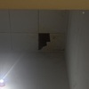Thumb img 4858