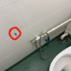 Thumb toilet pipe handle