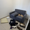 Thumb img 6362