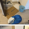 Thumb img 6358