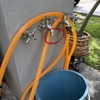 Thumb img 4256