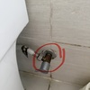 Thumb img 4253