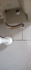 Before photo of Plumber by wahid jhang construction sdn bhd
