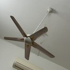 Thumb img 6048