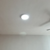 Thumb img 8709