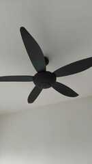 Before photo of Electrical and Wiring Services by NZ HOME MAINTENANCE 