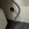Thumb img 9984
