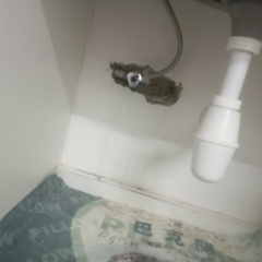 After photo of Plumber by Crosstrade Ventures