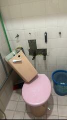Before photo of Plumber by NZ HOME MAINTENANCE 