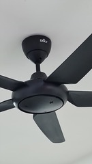 Before photo of Ceiling Fan Install and Repair by NZ HOME MAINTENANCE 