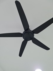 After photo of Ceiling Fan Install and Repair by NZ HOME MAINTENANCE 