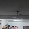 Thumb 1000053806