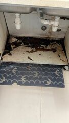 After photo of Handyman Contractor by NY POWER SOLUTIONS & RENOVATION SDN BHD