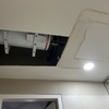 Thumb img 8903