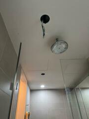 Before photo of Ceiling Fan Install and Repair by NZ HOME MAINTENANCE 