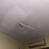 Thumb img 2695