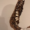 Thumb img 1390