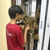 Electrical