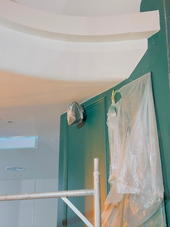 Plaster Ceiling & Partition