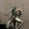 Thumb img 1472