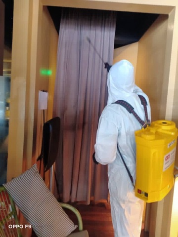  Bedbug, Flea and Ticks Treatment