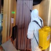  Bedbug, Flea and Ticks Treatment