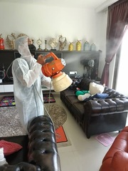 Disinfecting for viruses