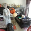 Disinfecting for viruses