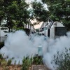 Mosquitoes ULV Misting 
