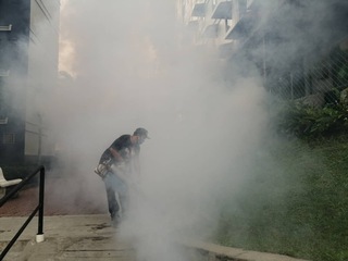 Mosquitoes thermal fogging