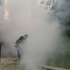 Mosquitoes thermal fogging
