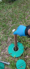 Termites baiting treatment