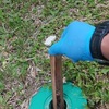 Termites baiting treatment