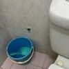 Thumb img 20260715 wa0006