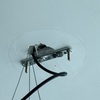 Thumb img 1163