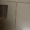 Thumb img 1855