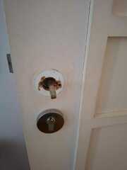 Before photo of Handyman Contractor by NZ HOME MAINTENANCE 